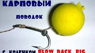 Волосяной оснастки с кольцом