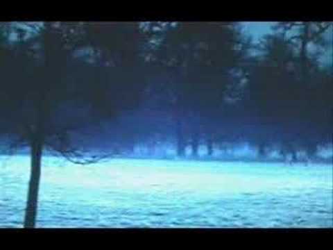 Phantom of the Opera intertwined with Beauty and the Beast