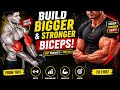 6 Best Biceps Exercises For Bigger Stronger Arms Build Massive Biceps Fast Full Guide