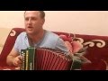 Как за доном за рекой - гармонь 