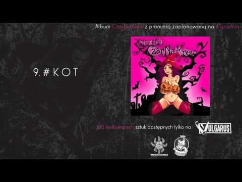 9. #Kot - WilkoŁaki