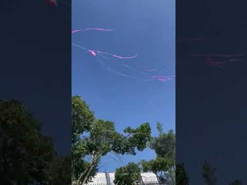 Pipa de 1,30, com 130 metros de rabiola. 😍🪁