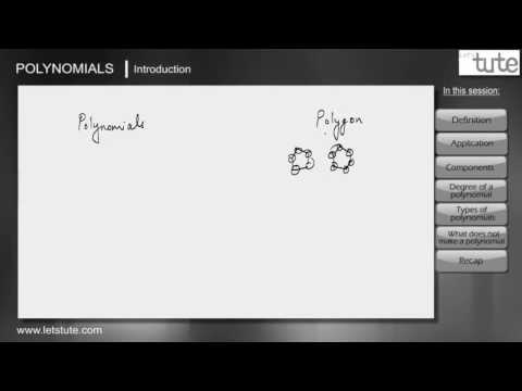 Copy of All About Polynomials | Algebra | Math