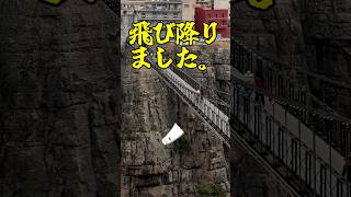 【九●に一生】犬に襲われ、大逃走劇 #shorts