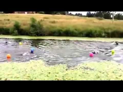 Football Fun SYTri Style