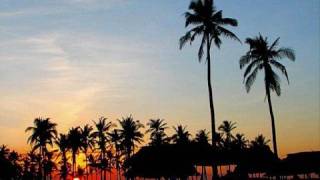 Disco Platino - The Summer