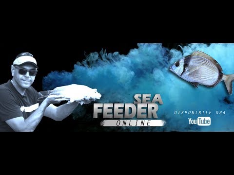 Come si pesca a feeder in autunno - FALL: SEA FEEDER
