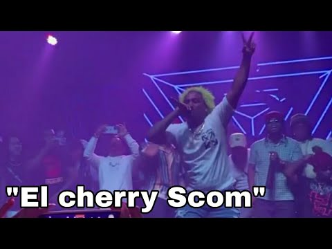 DOWBA MONTANA × EL CHERRY SCOM (DESPEDIDA DE DOWBA)