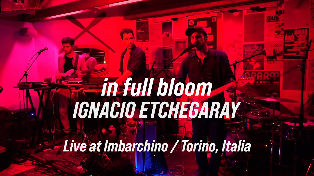 in full bloom / LIVE IN TORINO