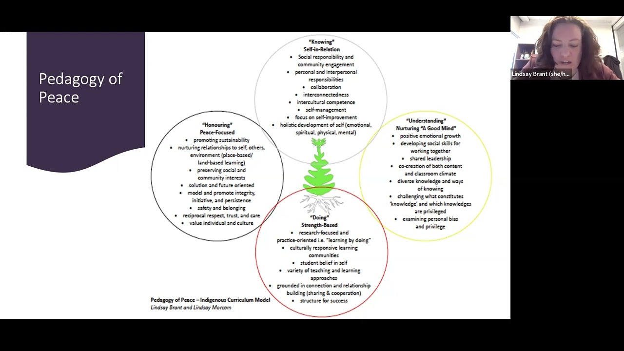 The Pedagogy of Peace: A Model for Decolonizing and Indigenizing Teaching and Learning Practices
