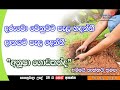 ammai-thaththai-anusha-kodagoda-01-09-2019