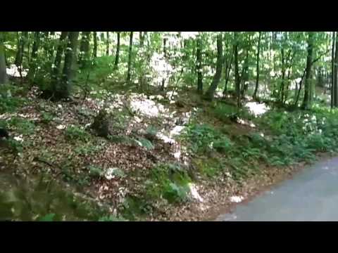 Pogledajte: Nešto neobično na ovom snimku?