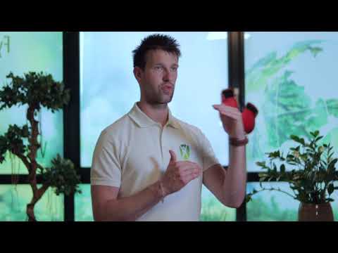 Chronische vermoeidheid - Vitaliteitstherapie