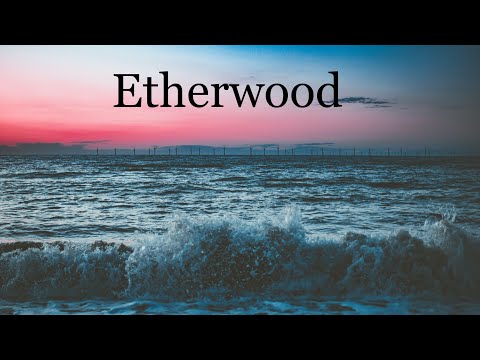 Etherwood Tribute Mix (Pure : Liquid) No:127