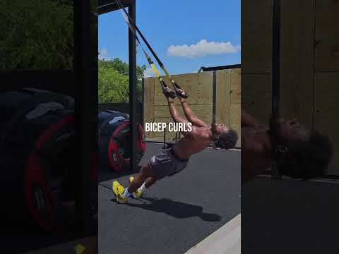 FULL BODY TRX WORKOUT