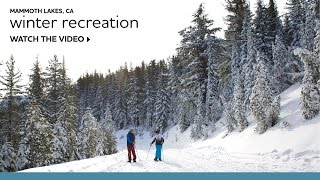 Winter Recreation in Mammoth Lakes