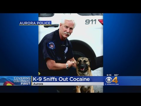 Aurora K-9 Officer Nets 2 Kilos In Cocaine Bust