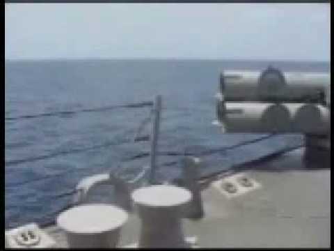 REX SAY: WHAT HAPPENED? HAHA fish torpedo ~!