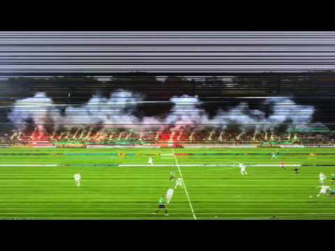 Górnik Polkowice - kibice