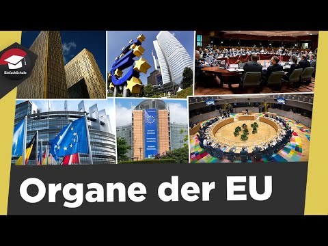 Organe der EU - Europäische Institutionen - Aufgaben, Merkmale, Sitz - Organe der EU erklärt!