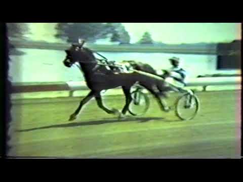 1978 Hambletonian - Somebody Bet On The Bay -  Speedy Somolli & Howard Beissinger