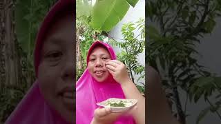 Download lagu waw daun sirih cina bisa jd skin care alami#shorts mp3 Download lagu waw daun sirih cina bisa jd skin care alami#shorts mp3