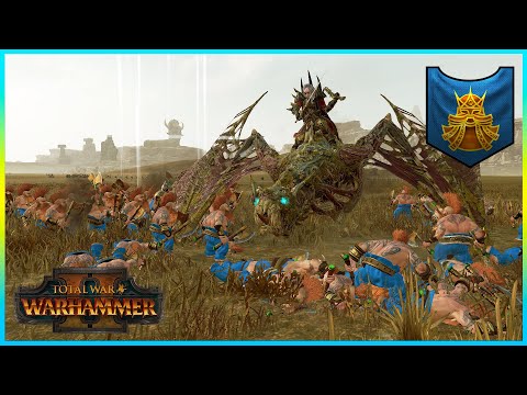 DWARVES VS VAMPIRE COAST! || THE DAWI ARE HERE TO SLAY!! || TOTAL WAR WARHAMMER 2!
