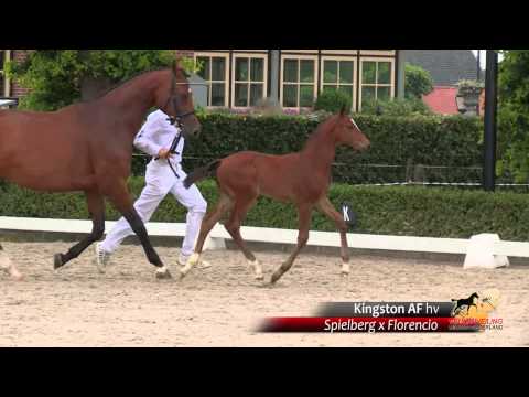 36 - Kingston AF hv - Spielberg x Florencio