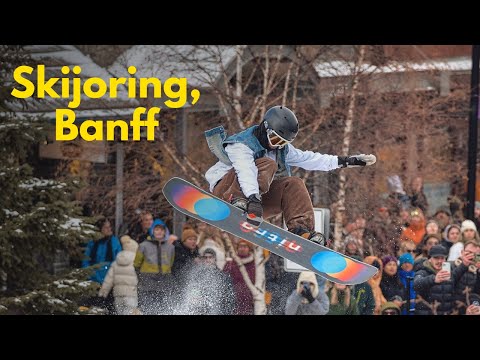 Skijoring in Banff - 2024 Highlights