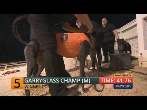 Garryglass Champ (M) Towcester Race 10 - 21st July 2018 Watch Now!!! (Official Video)