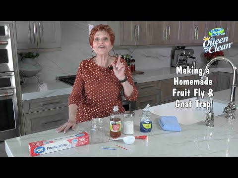 Homemade FRUIT FLY and GNAT Trap