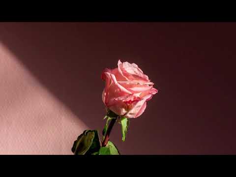 Nadie quien te quiera como yo (letra)-  Antonio cartagena