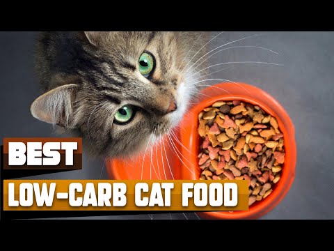 Best Low-Carb Cat Food In 2022 - Top 10 Low-Carb Cat Foods Review