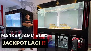 JACKPOT LAGI !!! MAKIN SEMANGAT DALAM MELAKUKAN PEMELIHARAAN IKAN PREDATOR  DI MARKAS JAMM VLOG