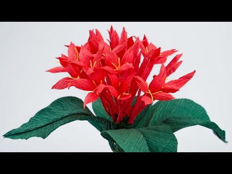How To Make Ixora Flower With Crepe Paper | Paper Flower
