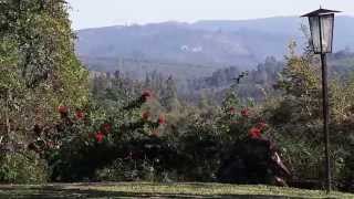 preview picture of video 'Böhm's Zederberg Country House, Hazeyview, South Africa'