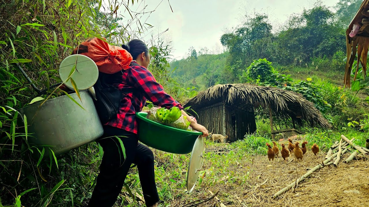 Homeless girl lives alone in an abandoned house in the forest - Renovating the garden in winter.