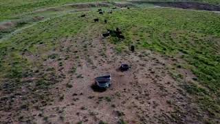 b5393325 fd36 49a4 a990 2614a8859fe2