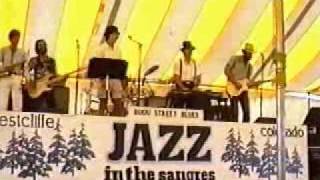 Bijou Street Blues Band - Walkin' Blues from Jazz in the Sangres 1987