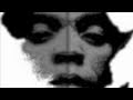 Femi Kuti- Missing Link