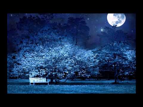 Wilson G - Mostra Pra Me Prod By Wilson G & Orlando Da Costa