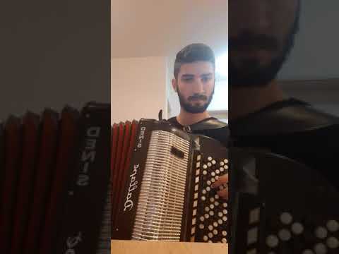 Denis Papun - PRICUVAJ SE MALA  (Šaban Šaulic)