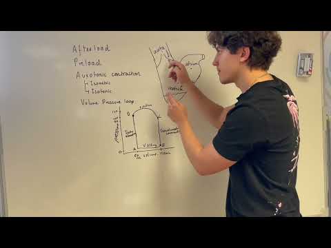 Afterload, Preload and Auxotonic contraction in the Heart, Cardiophysiology