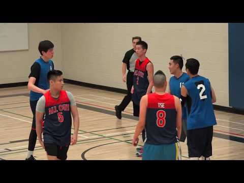 Bumble Bees vs Mountain | Sunday Tier 4 - Tcbl 2018 Winter