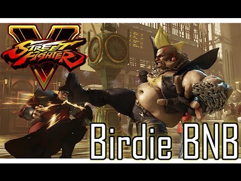 SFV - birdie BNB