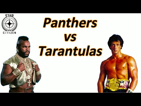 3.17.4 Panthers vs Tarantulas - TTK test and baseline for the ballistic changes