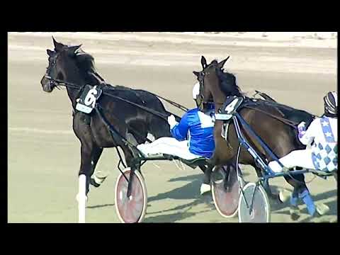 Napoli Trotto 13/02/2022 - 4ª corsa