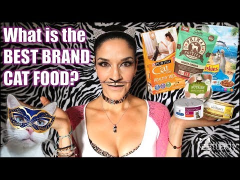 How to choose the BEST BRAND CAT FOOD for your kitty (is Raw Cat Food REALLY the best option)?!