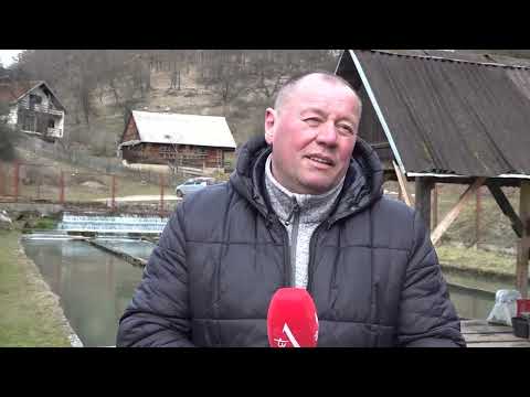 Proizvodnja ribe u selu Kruševci kod Sokoca