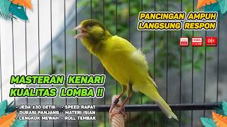Download lagu Kenari GACOR NGEREK‼️ Masteran Kenari PAUD dan Pancingan Kenari MACET BUNYI dan Betina NGIWIR -447 mp3